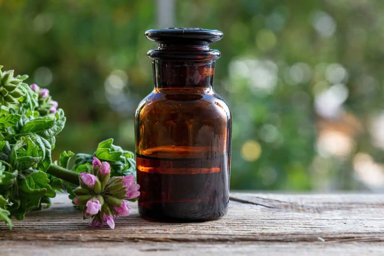 quelle huile essentielle plus efficace contre moustiques 1